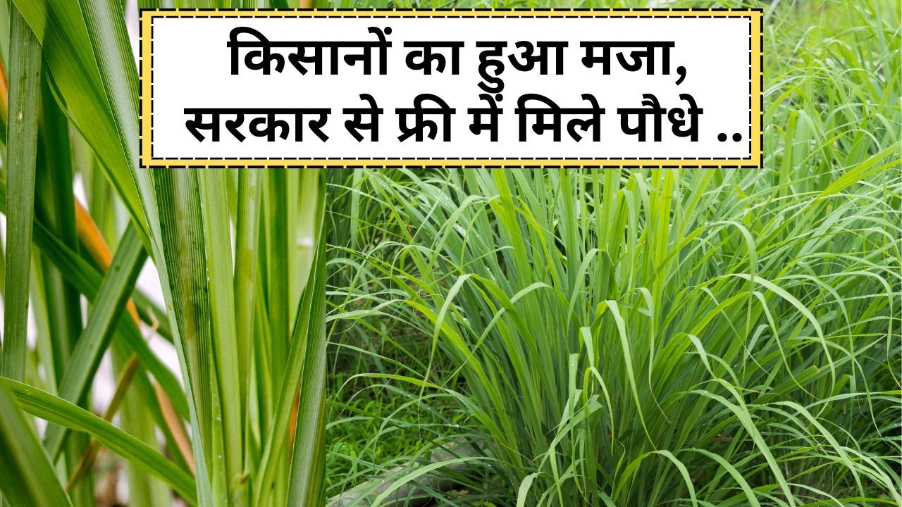 जंगली जानवरों से परेशान किसानों को मिला हल