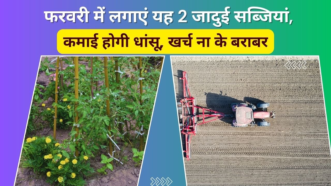 फरवरी के लिए 2 मुनाफेदार सब्जियां