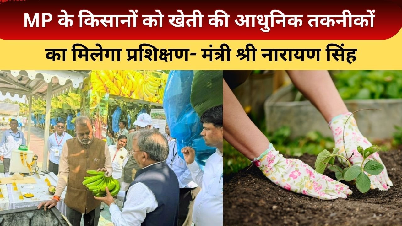 MP के किसानों को प्रशिक्षण के लिए भेजेगी सरकार