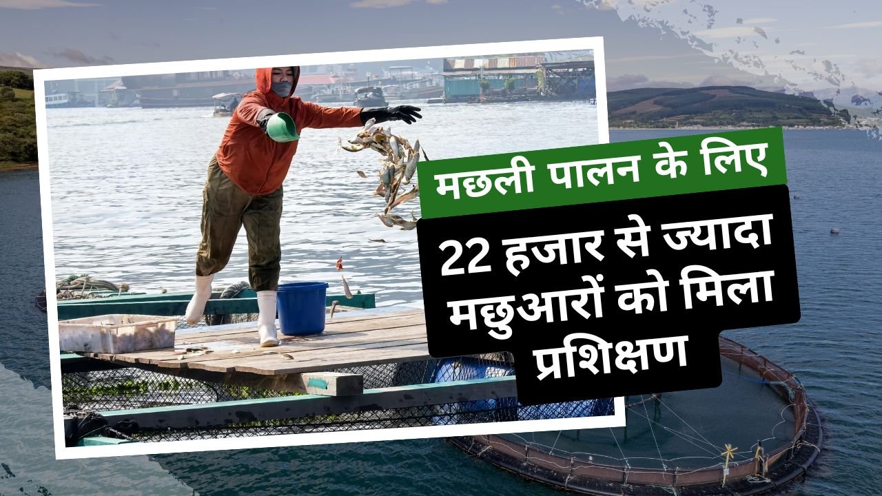 मछली पालन के प्रशिक्षण में क्या-क्या सिखाया जा रहा है