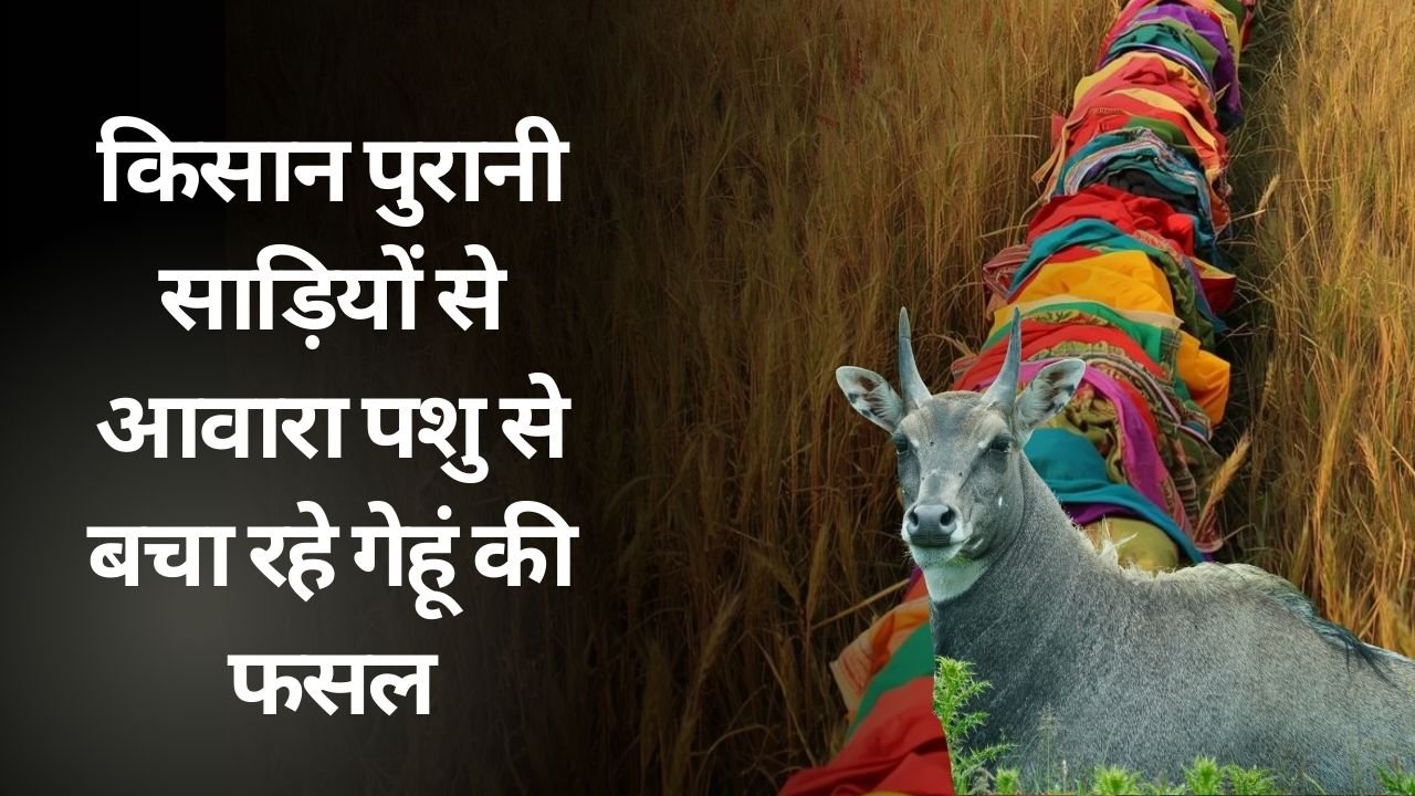 किसान का जुगाड़