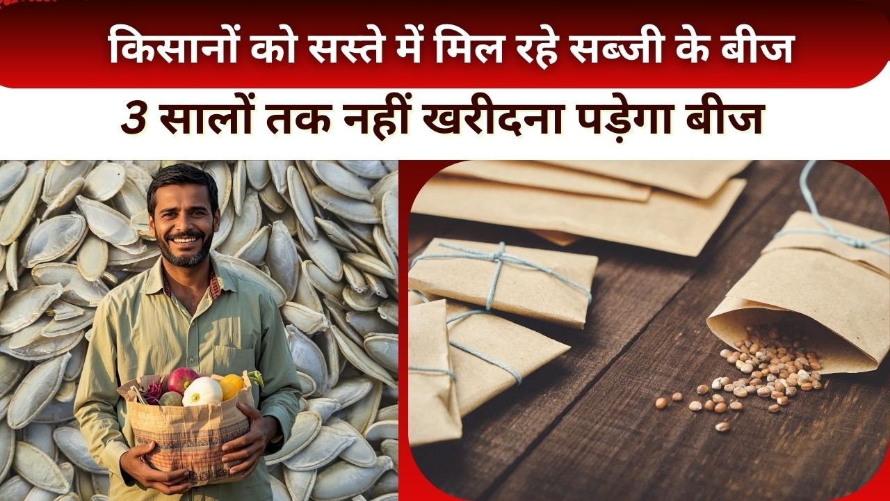 किसानों को ₹100 में मिल रहे 6 सब्जियों के बीज