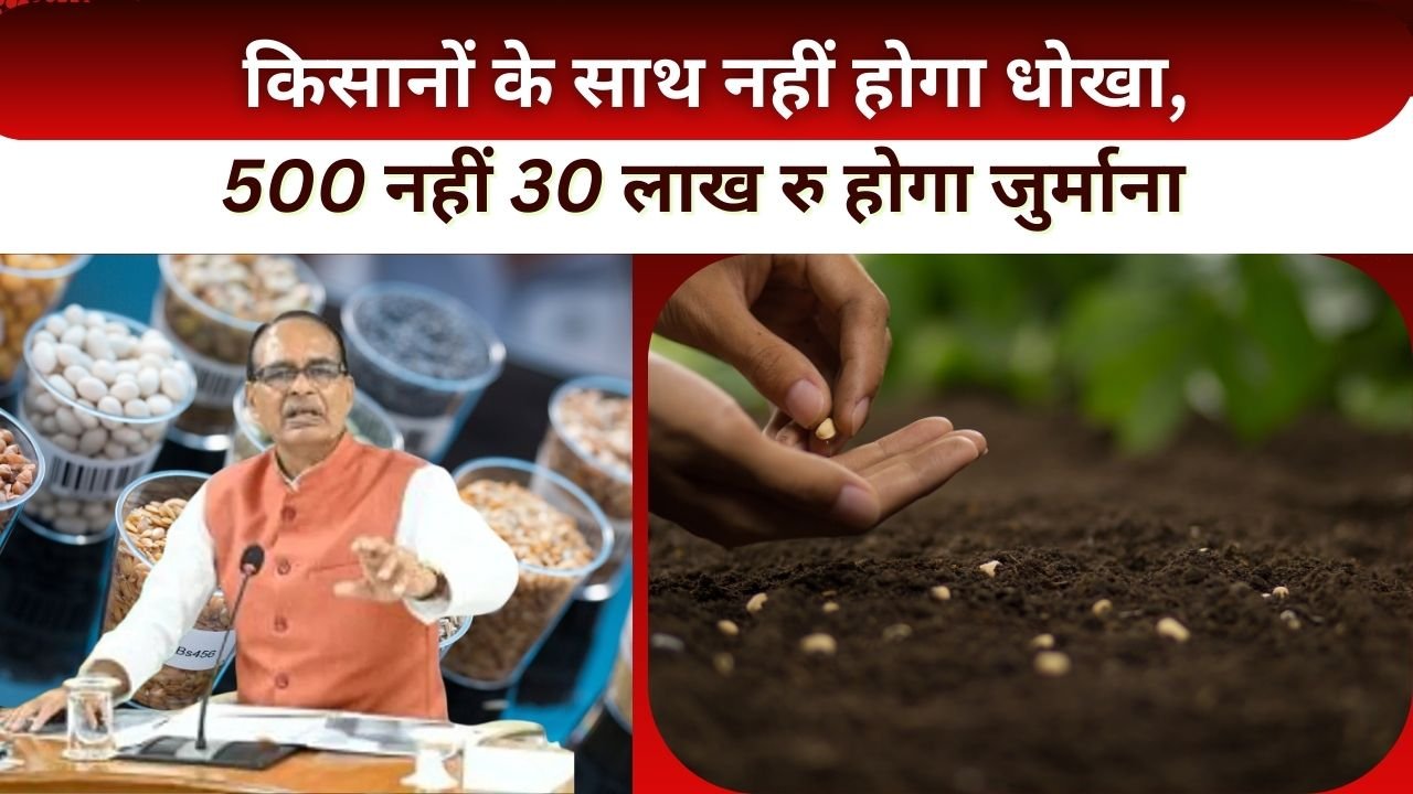 किसानों को नए सीड बिल से क्या फायदा है