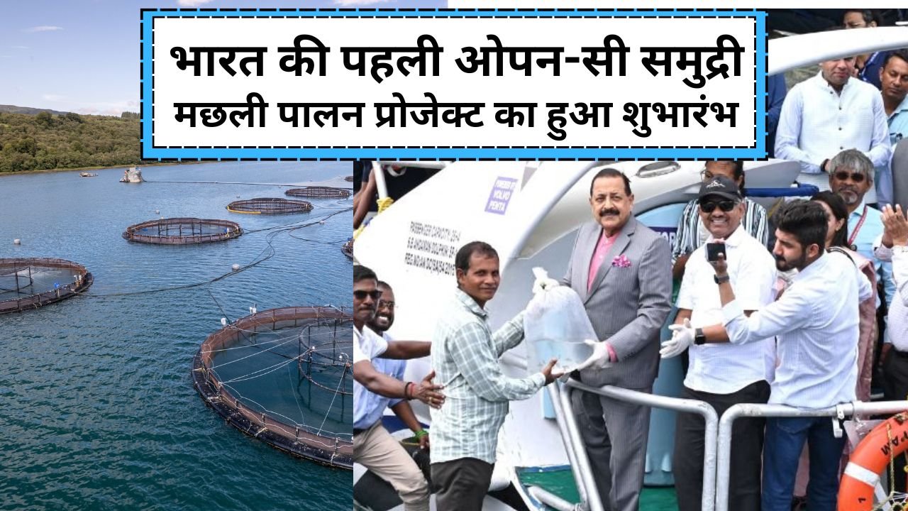 ओपन-सी समुद्री मछली पालन