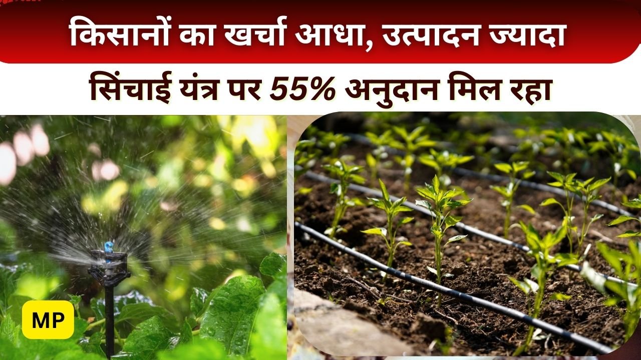 ड्रिप और स्प्रिंकलर सिंचाई प्रणाली में 55% तक सब्सिडी
