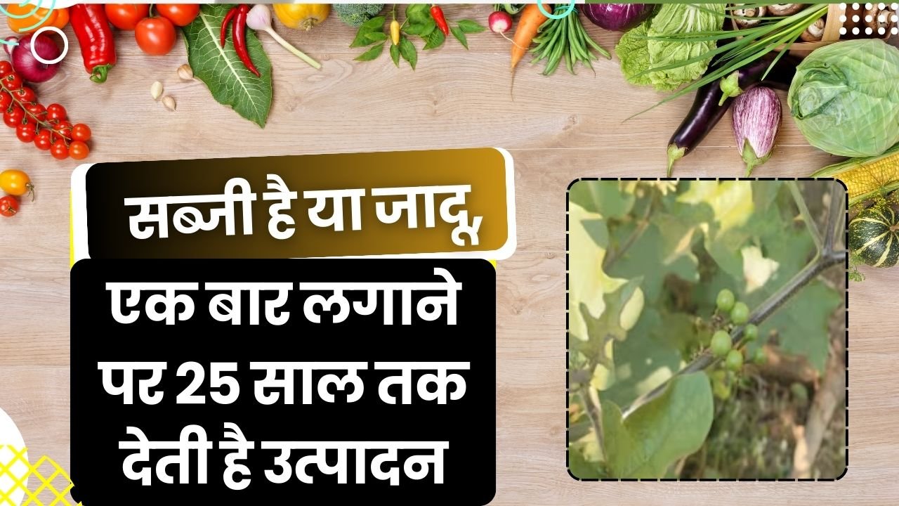 पुतमा सब्जी की खासियत