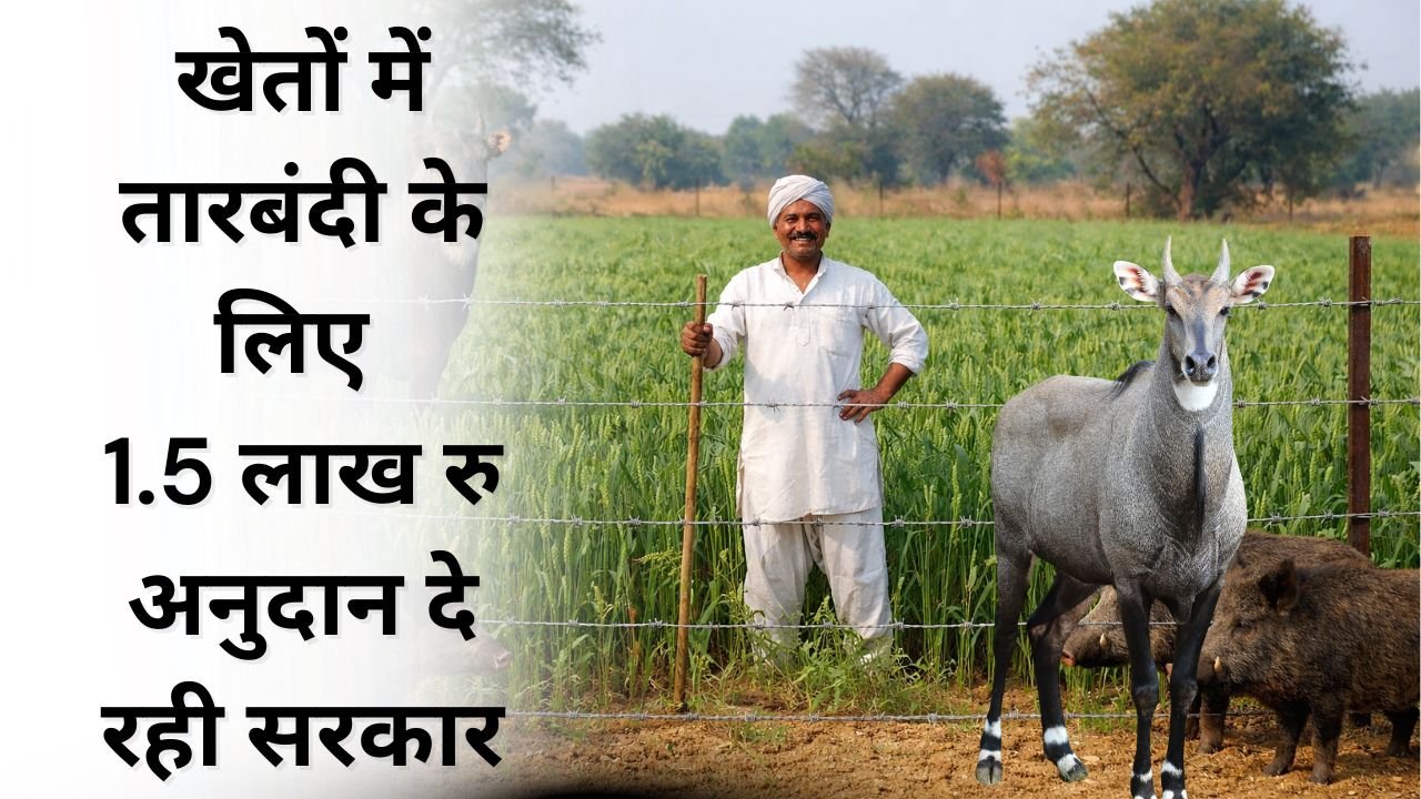 MP के किसानों के लिए तार फेंसिंग पर सब्सिडी योजना