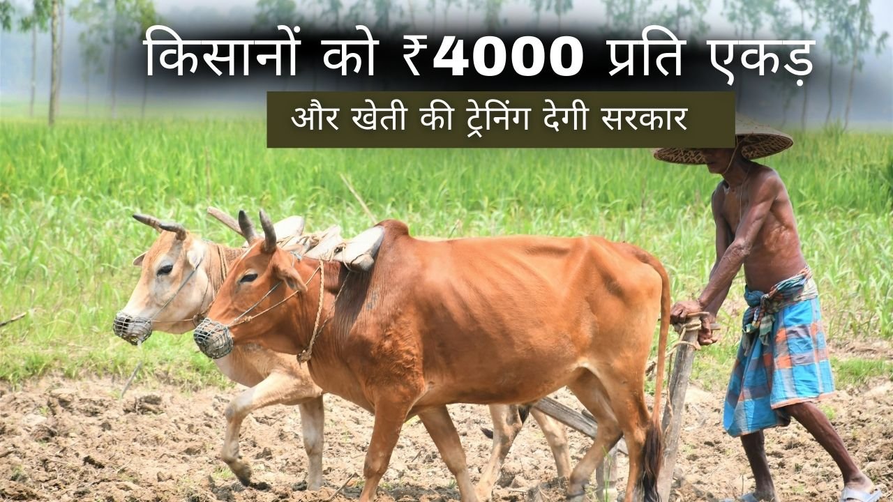 प्राकृतिक खेती पर अनुदान