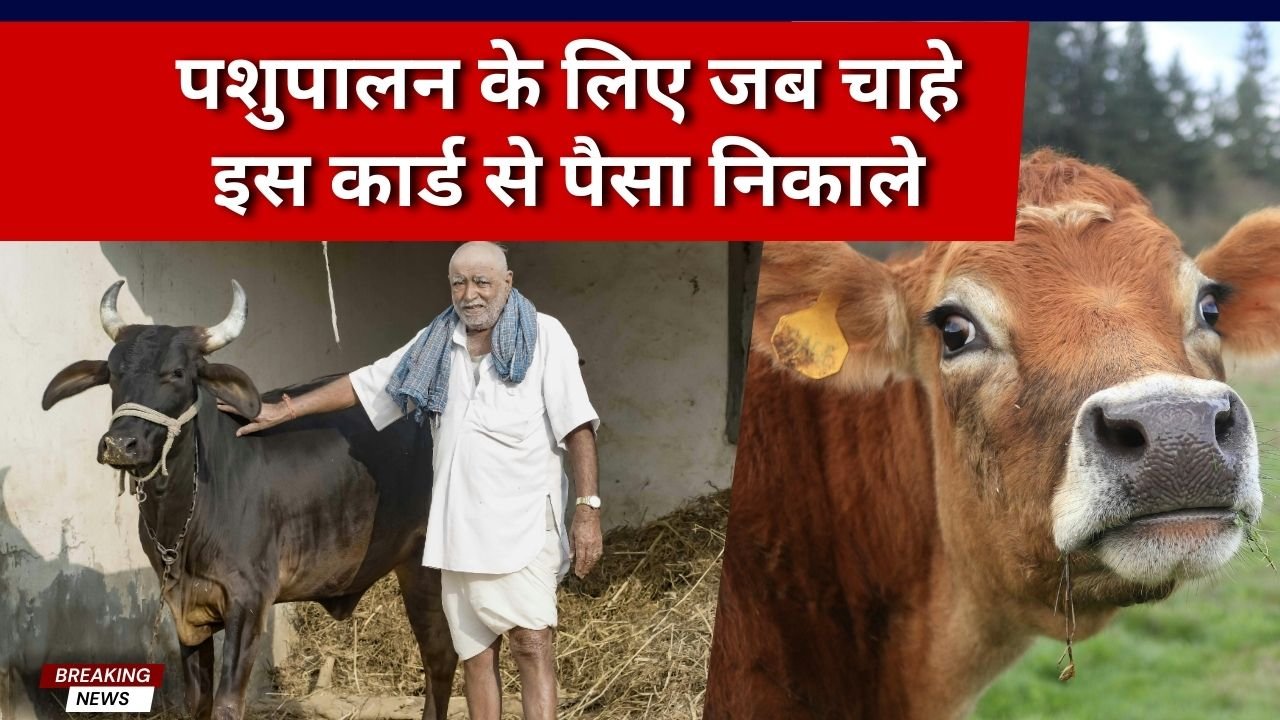 पशु किसान क्रेडिट कार्ड