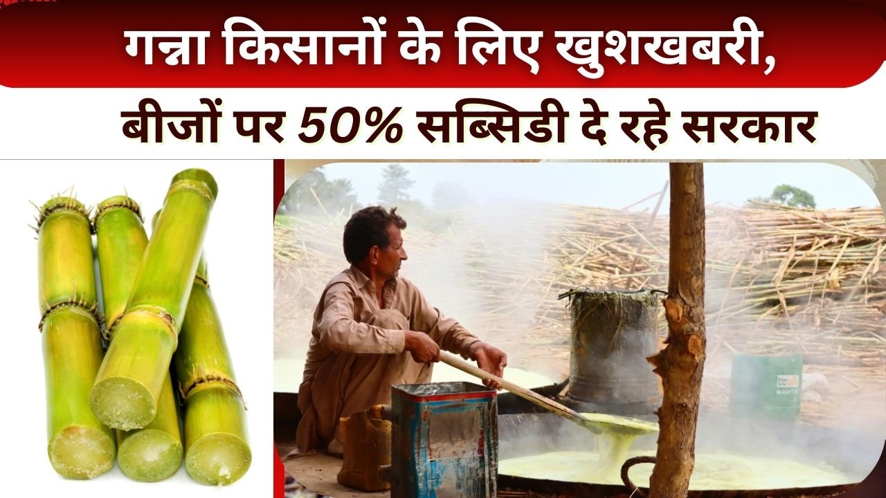 गन्ना किसानों के लिए अच्छी खबर