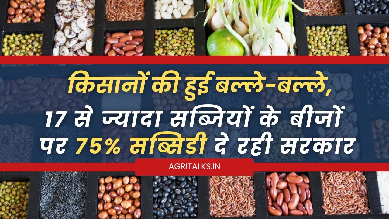 सब्जियों के बीजों पर 75% सब्सिडी