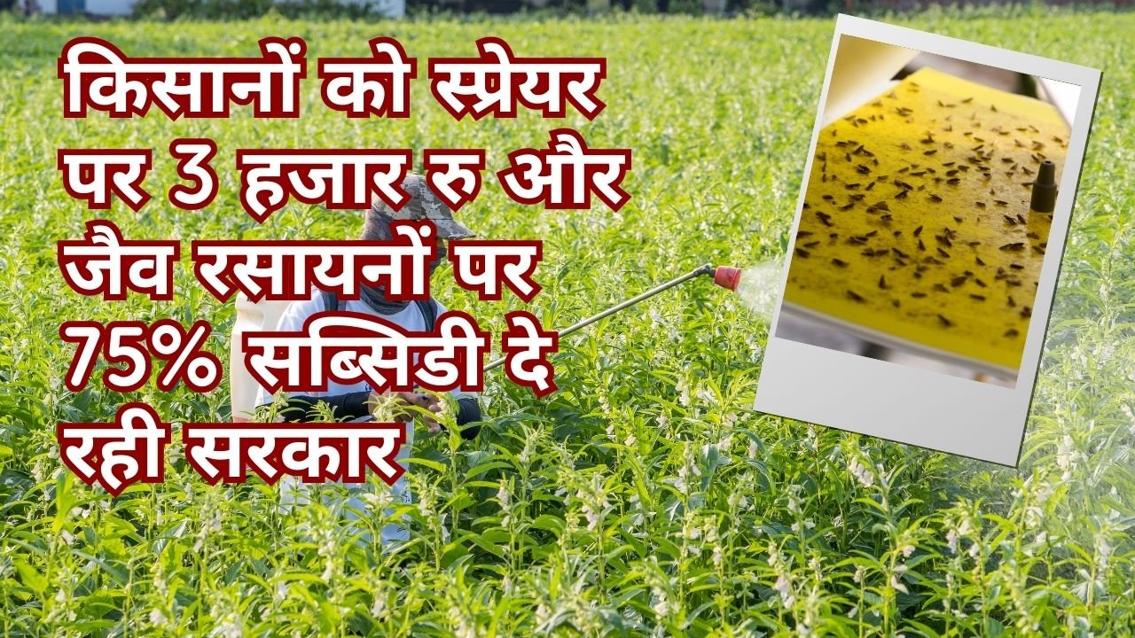 स्प्रेयर पर कितना अनुदान किसानों को मिल रहा है