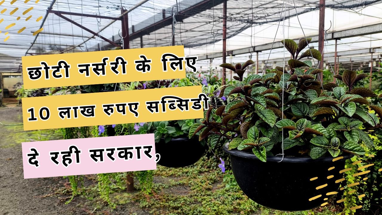 एकीकृत बागवानी विकास मिशन योजना