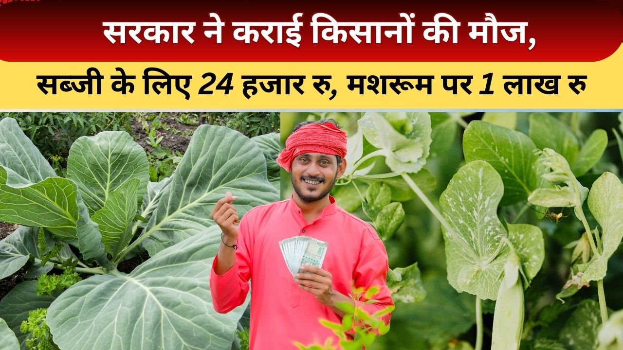 सब्जी साग की खेती के लिए अनुदान
