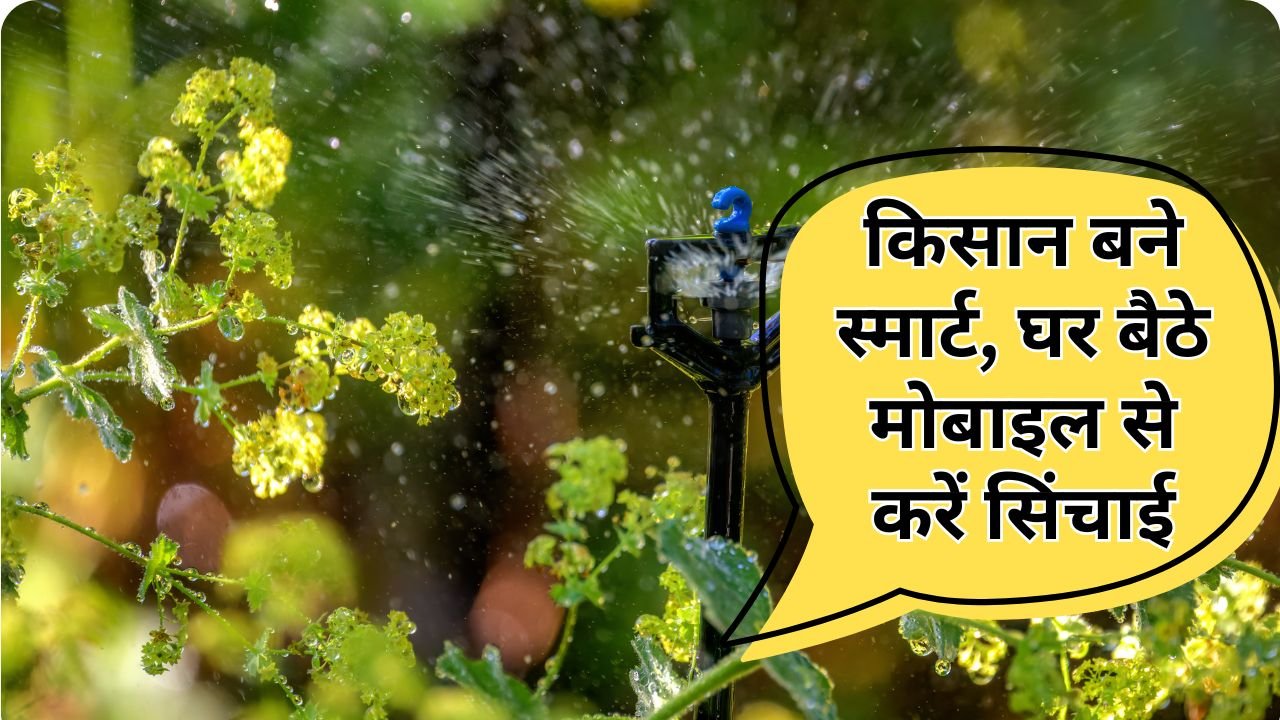 ऑटोमेटिक फिल्ट्रेशन सिस्टम