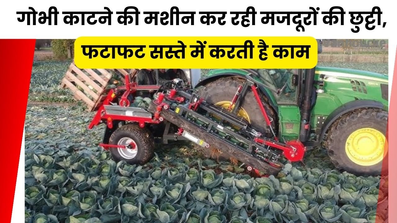 गोभी काटने की मशीन के फायदे
