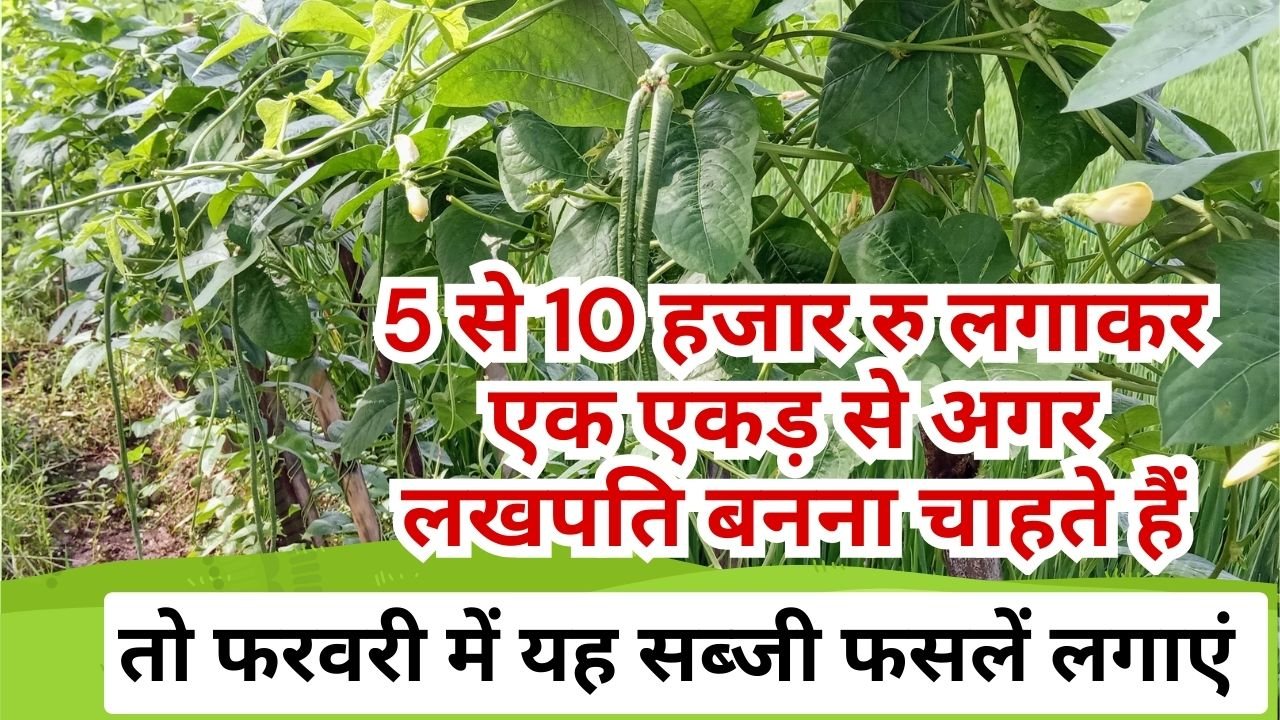 कम लागत में ज्यादा मुनाफा देने वाली सब्जी फसलें