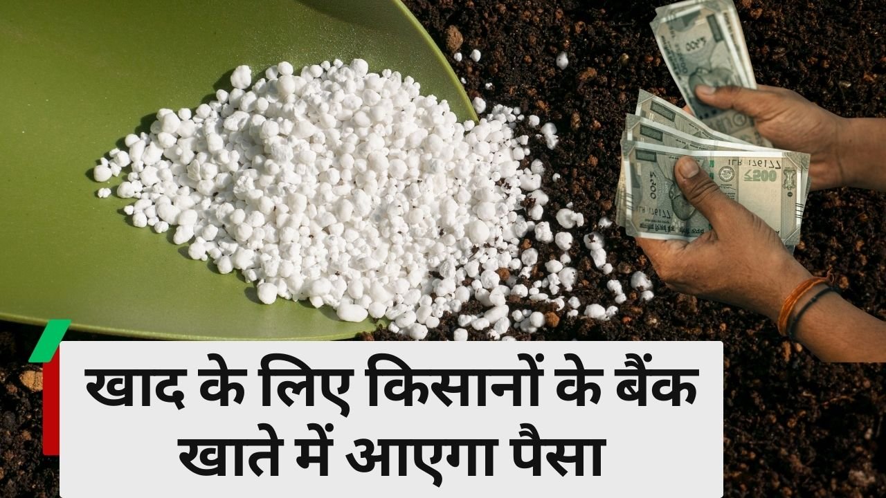 खाद की सब्सिडी का पैसा किसानों को मिलेगा
