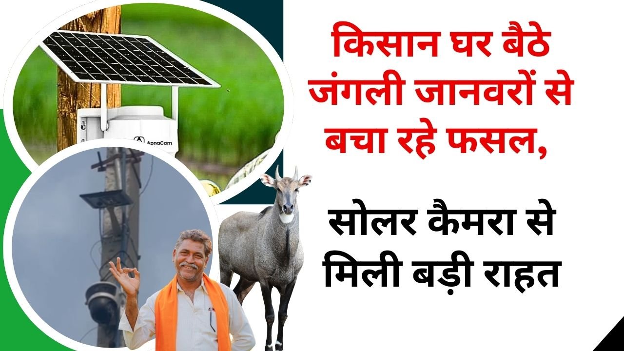 सोलर कैमरा से जंगली जानवरों से फसल बचाएं