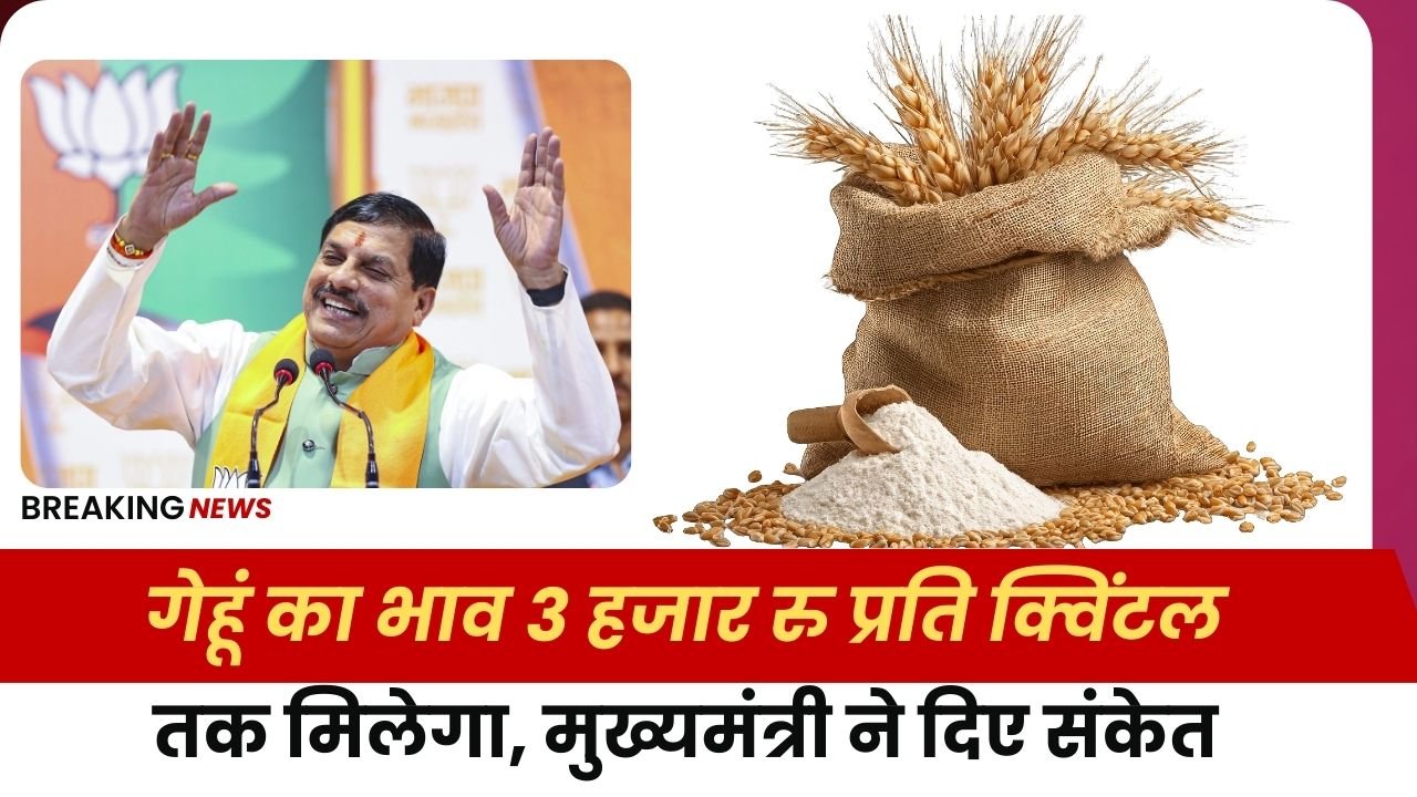 मध्य प्रदेश में गेहूं के भाव में बढ़ोतरी