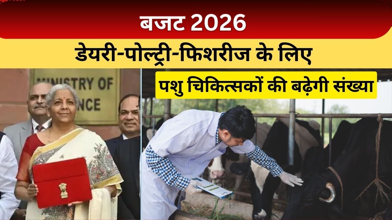 बजट 2026 में डेयरी-पोल्ट्री-फिशरीज