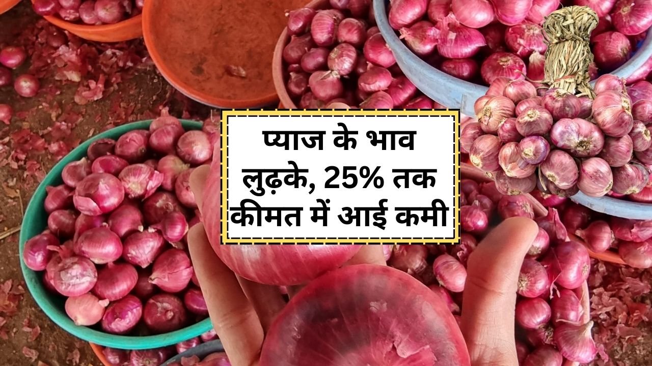 प्याज के भाव में 25% तक कमी