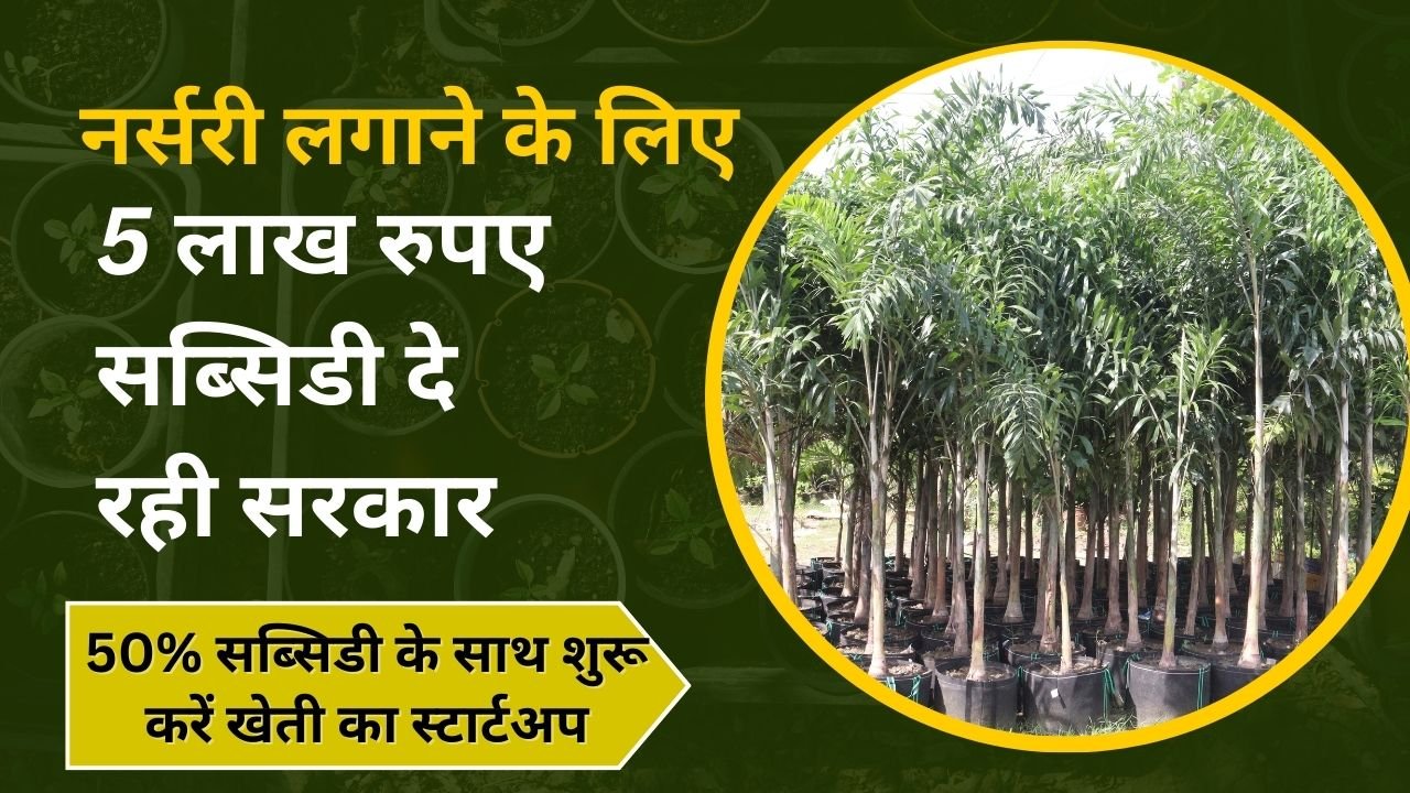 नर्सरी पर सब्सिडी