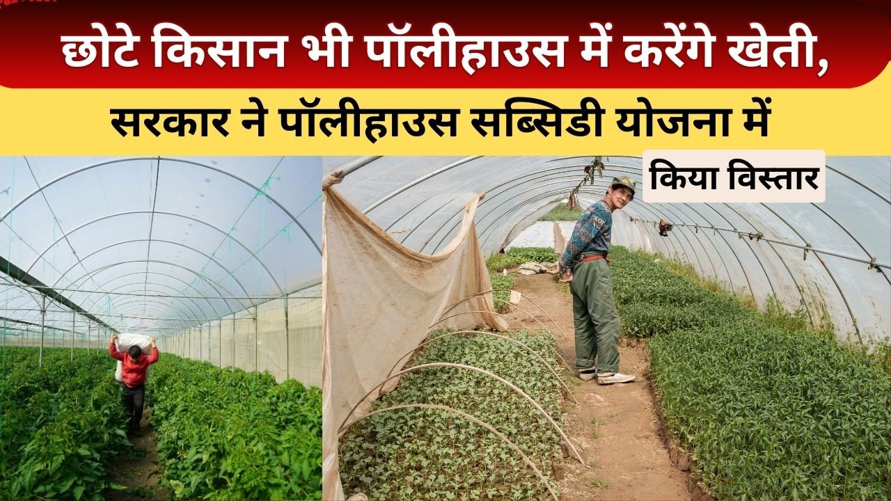 पॉलीहाउस सब्सिडी योजना में बदलाव क्या हुए