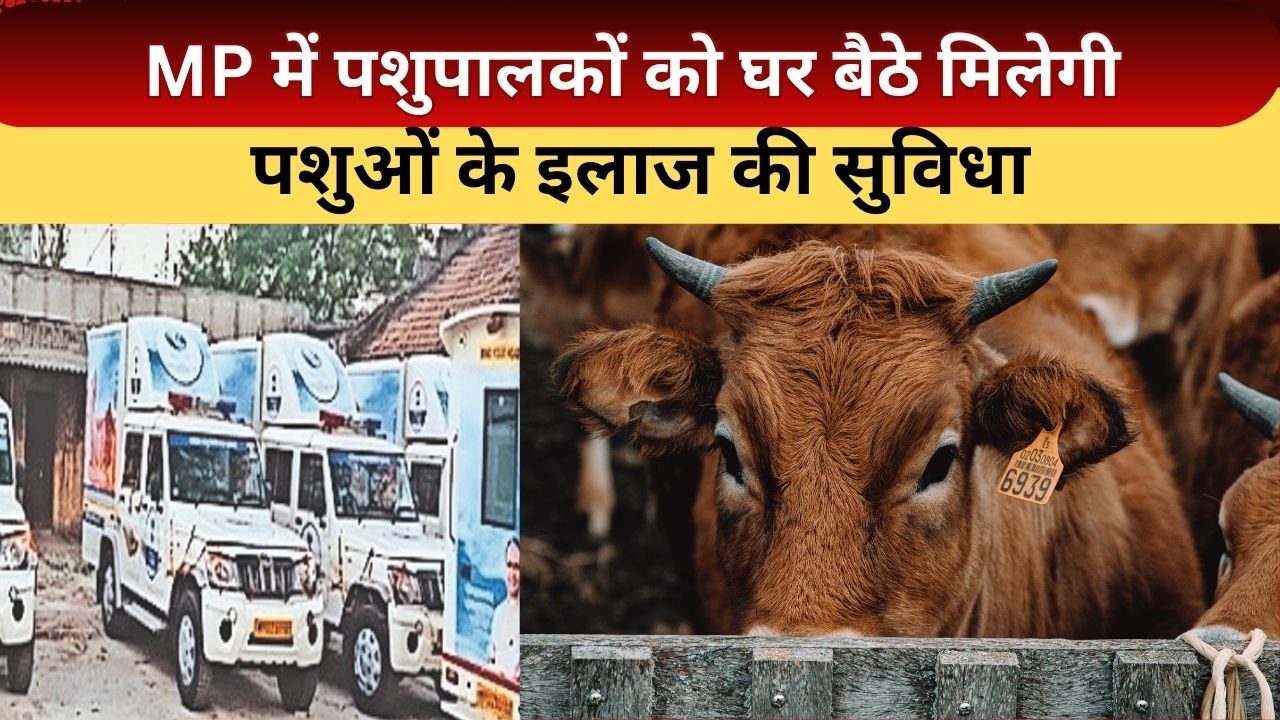 पशु संजीवनी पशु उपचार सेवाएं