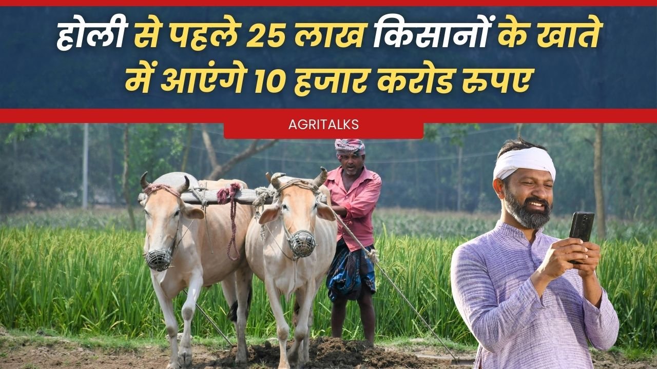 धान किसानों को मिलेगी MSP के अंतर की राशि