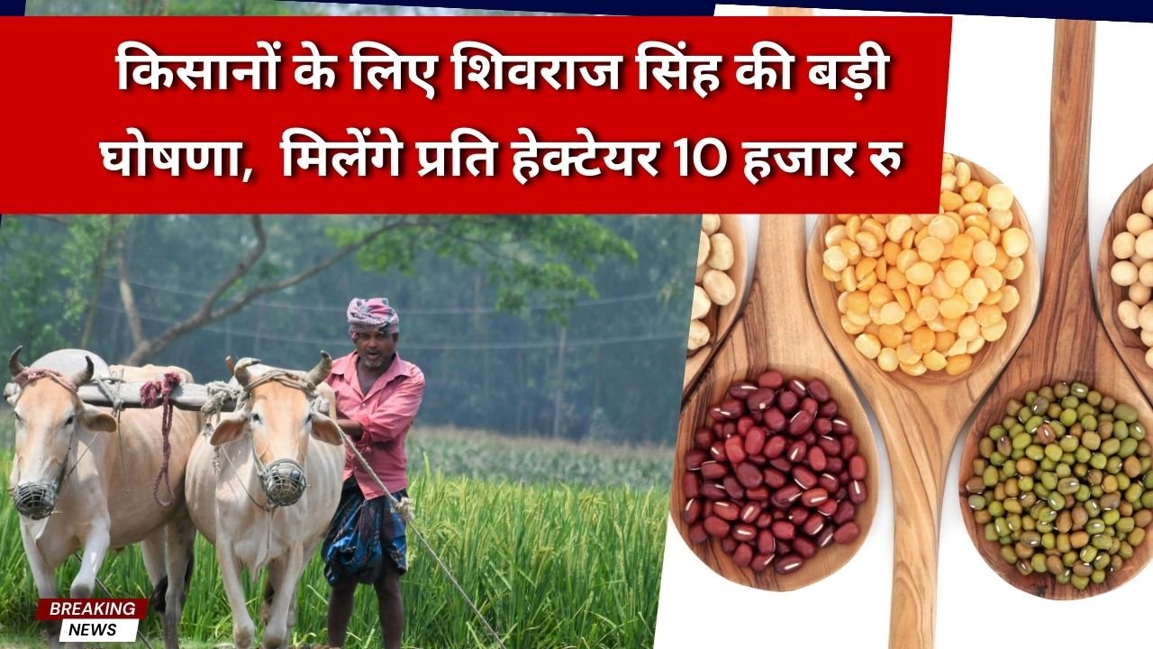 दलहन में आत्मनिर्भर के लिए किसानों को प्रोत्साहित