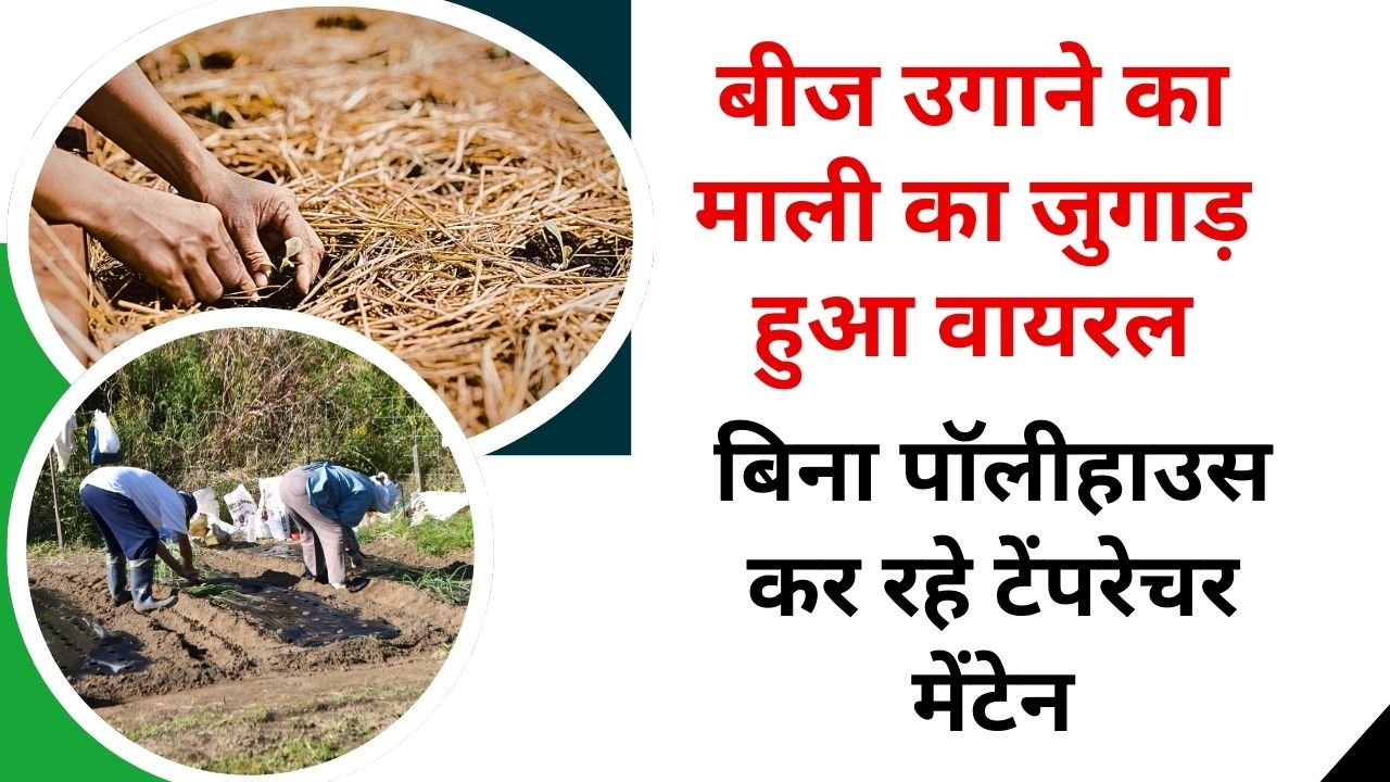 माली का जुगाड़