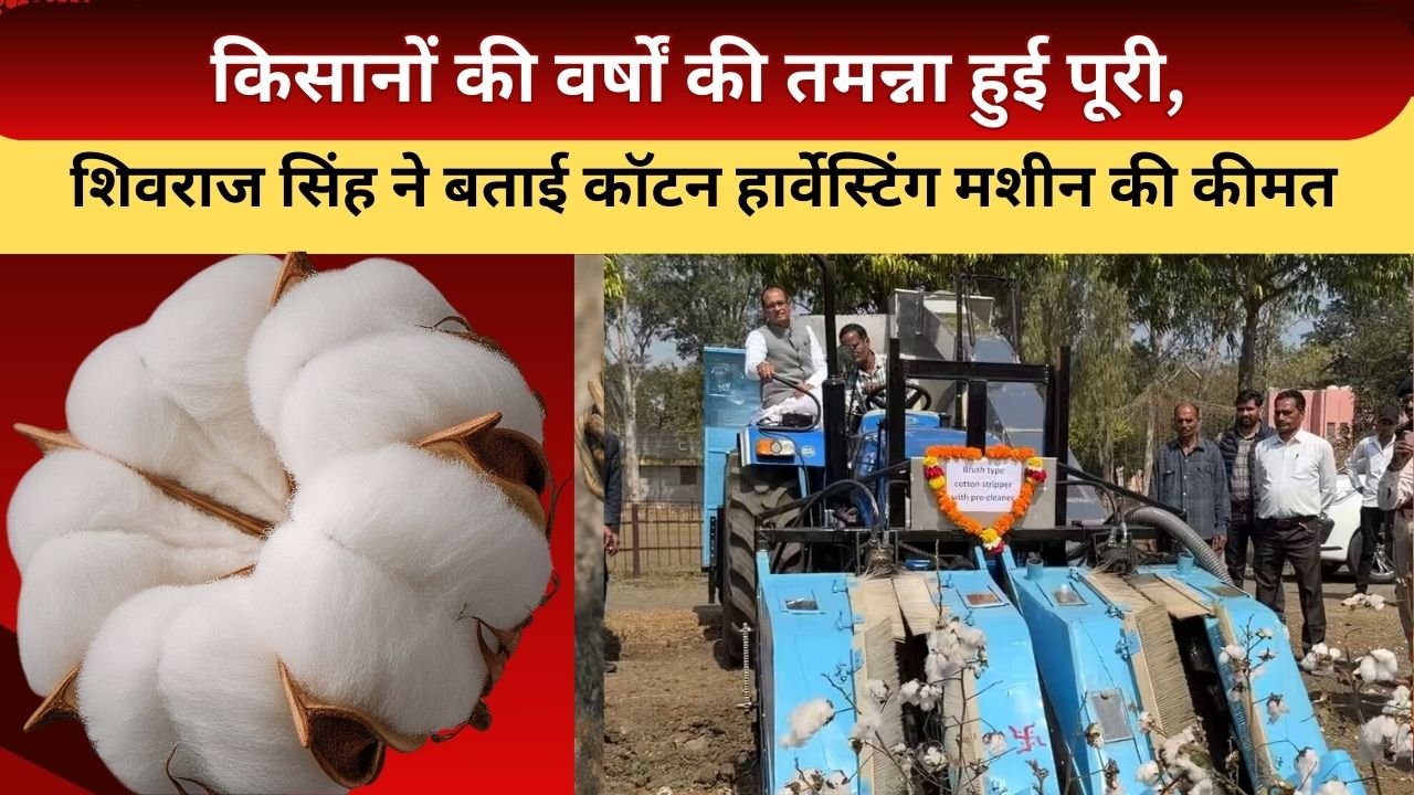 कपास हार्वेस्टिंग मशीन की कीमत