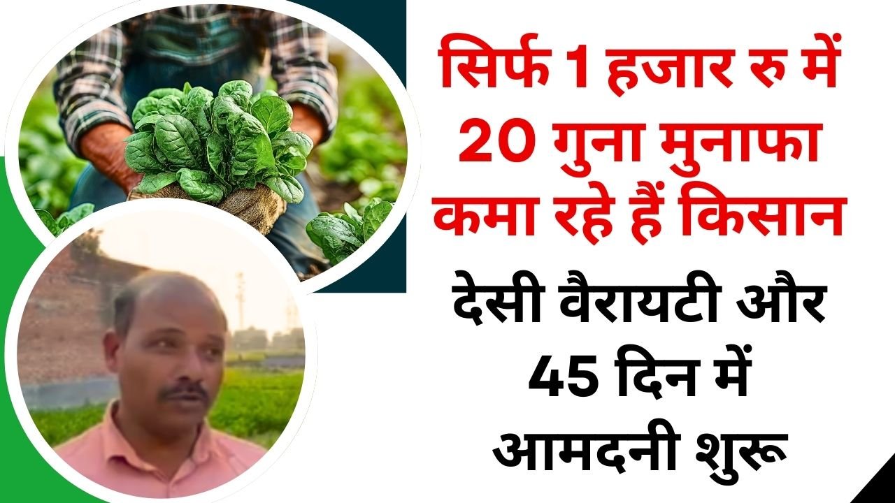 कम लागत की फसल