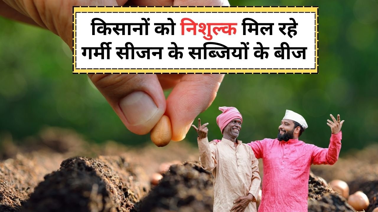 गर्मी सीजन के सब्जियों के बीज