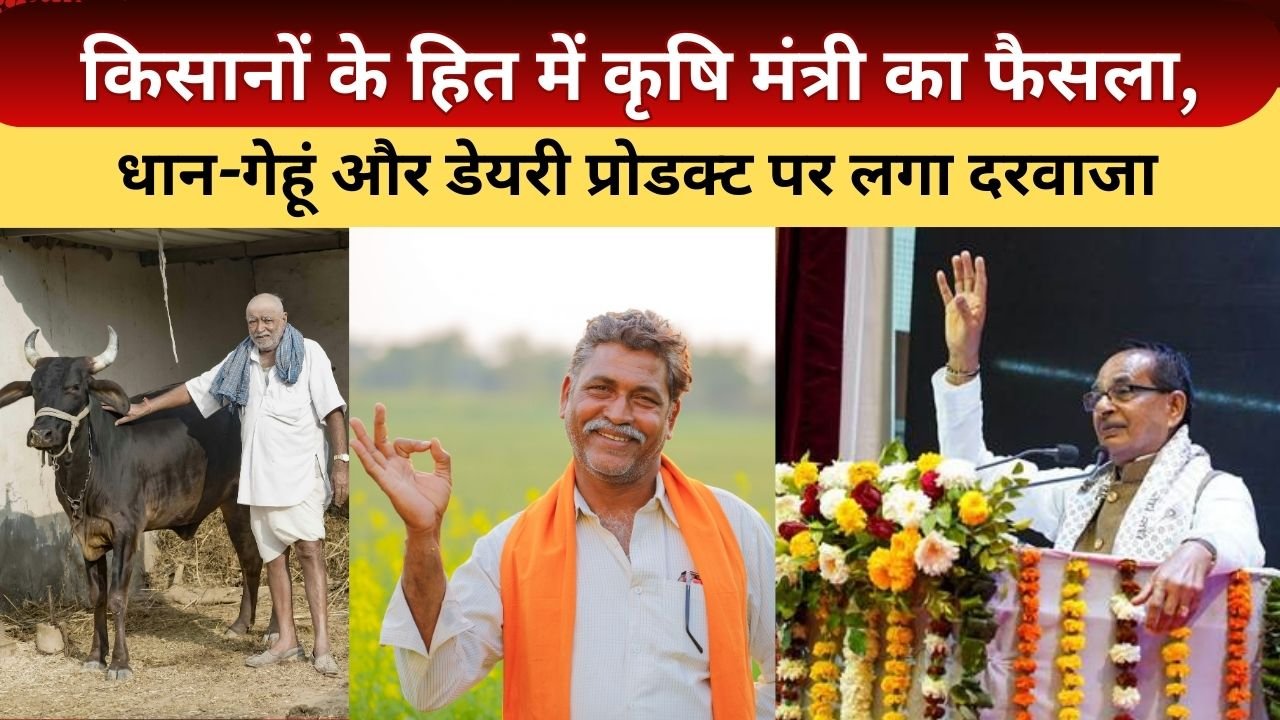 गेहूं-चावल-मक्का नहीं होगा आयात