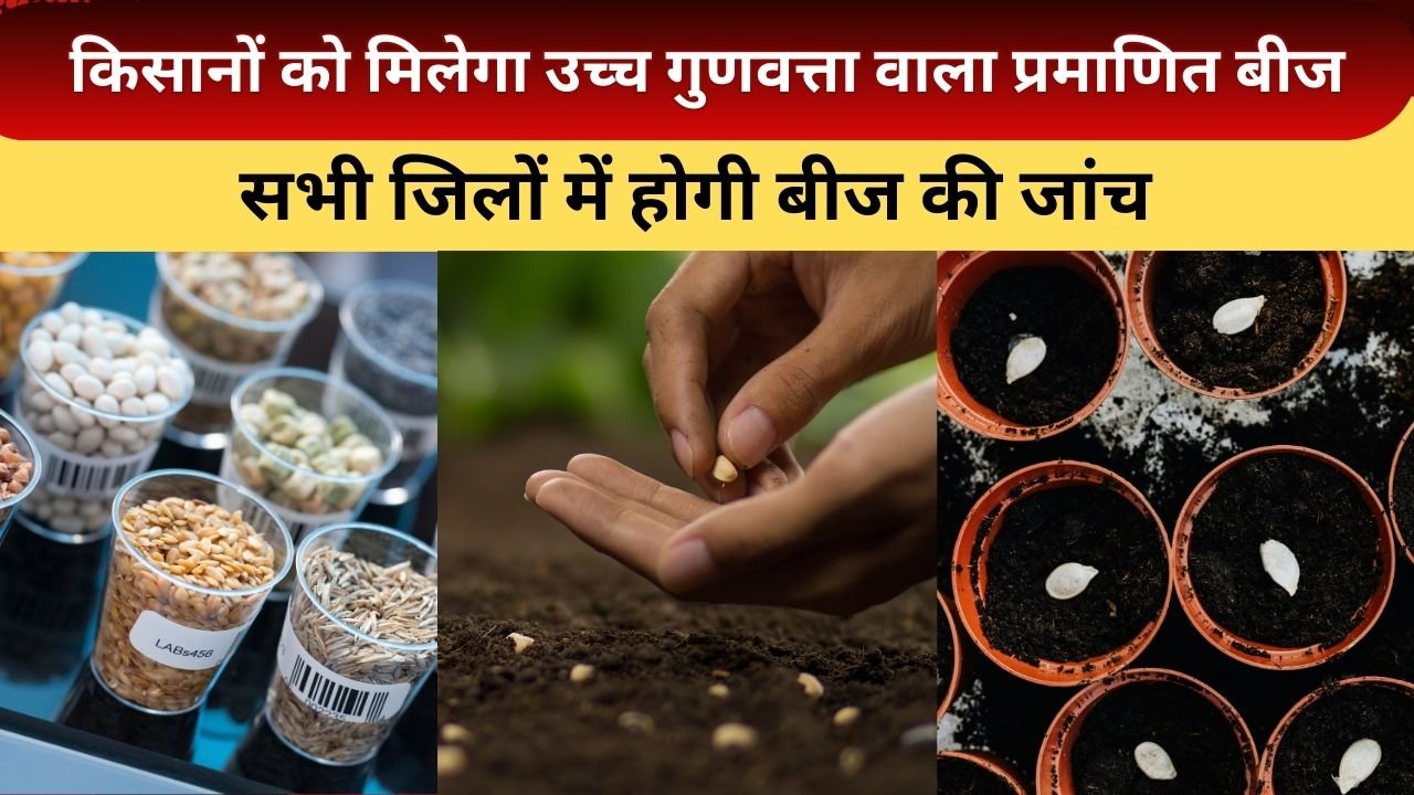 किसानों को मिलेगा उच्च गुणवत्ता वाला प्रमाणित बीज