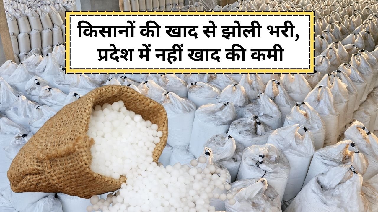 राजस्थान में यूरिया और डीएपी खाद की उपलब्धता