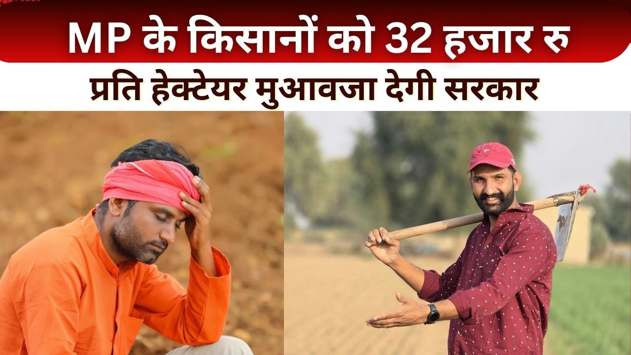 MP के किसानों को 32 हजार रु प्रति हेक्टेयर मुआवजा