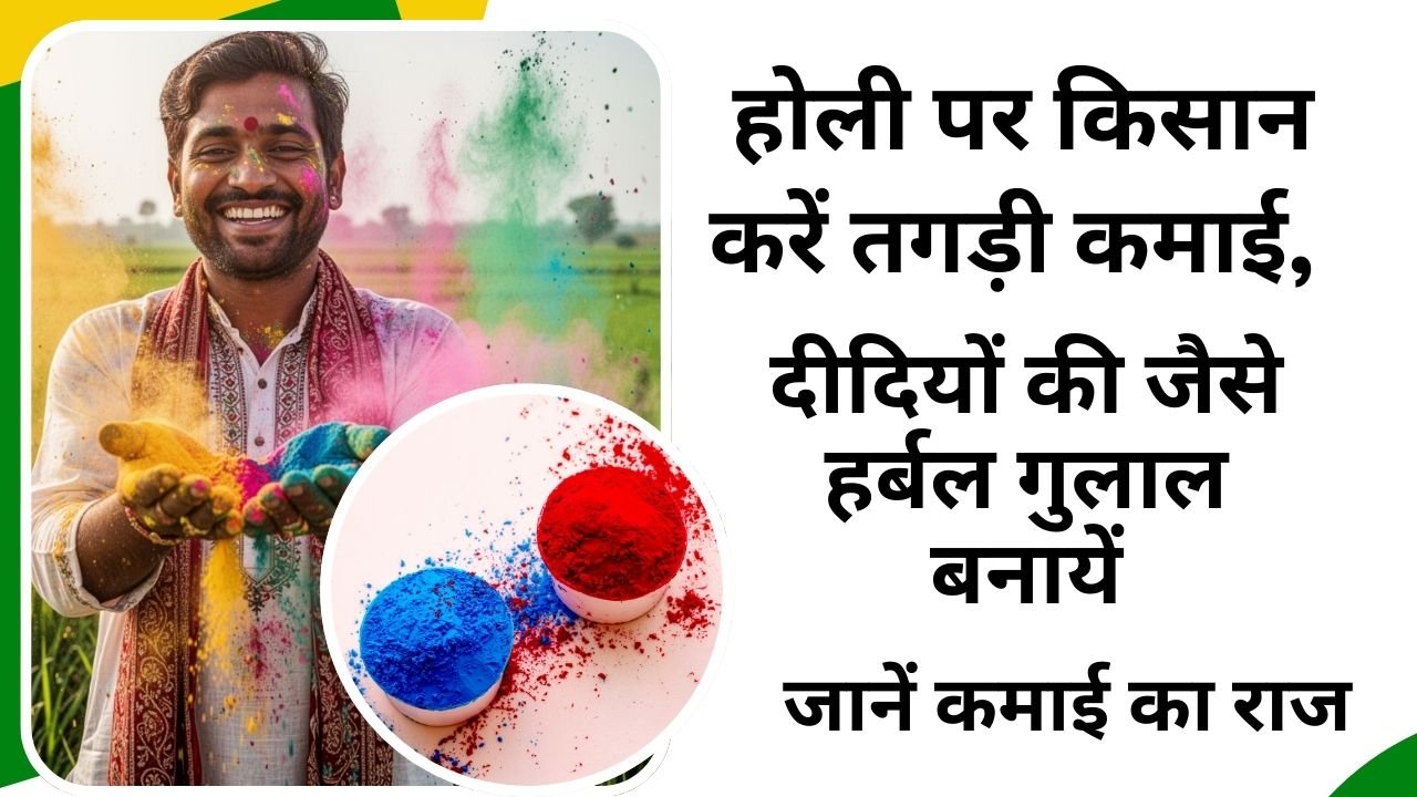 होली पर किसान भी कमाई कर सकते है
