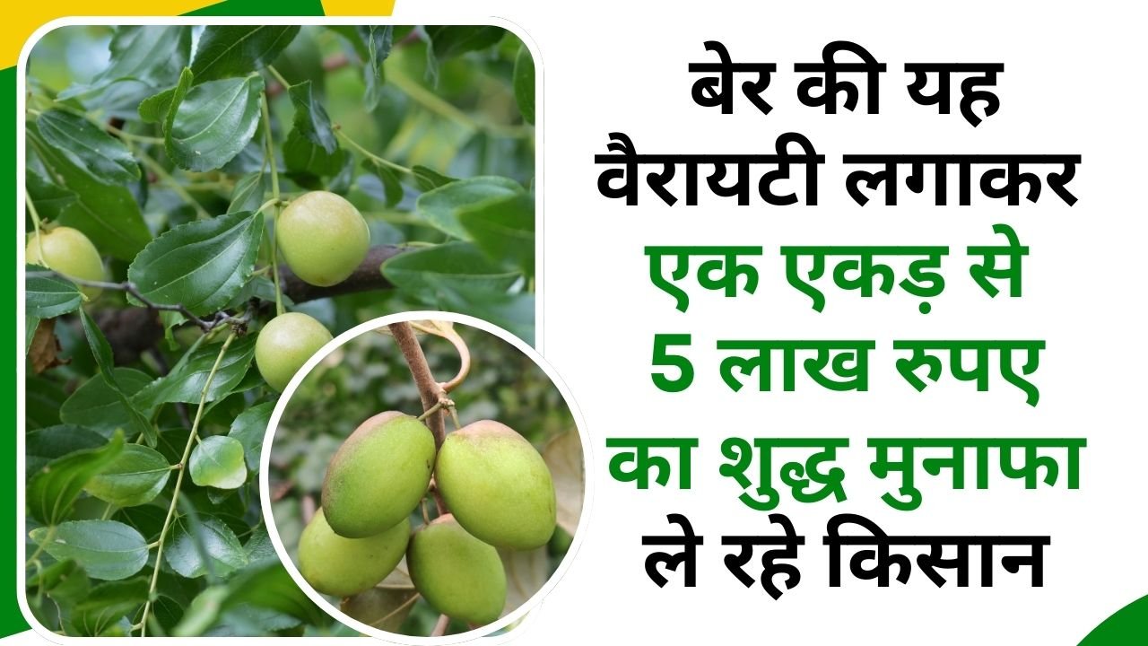 किसान की सफलता की कहानी