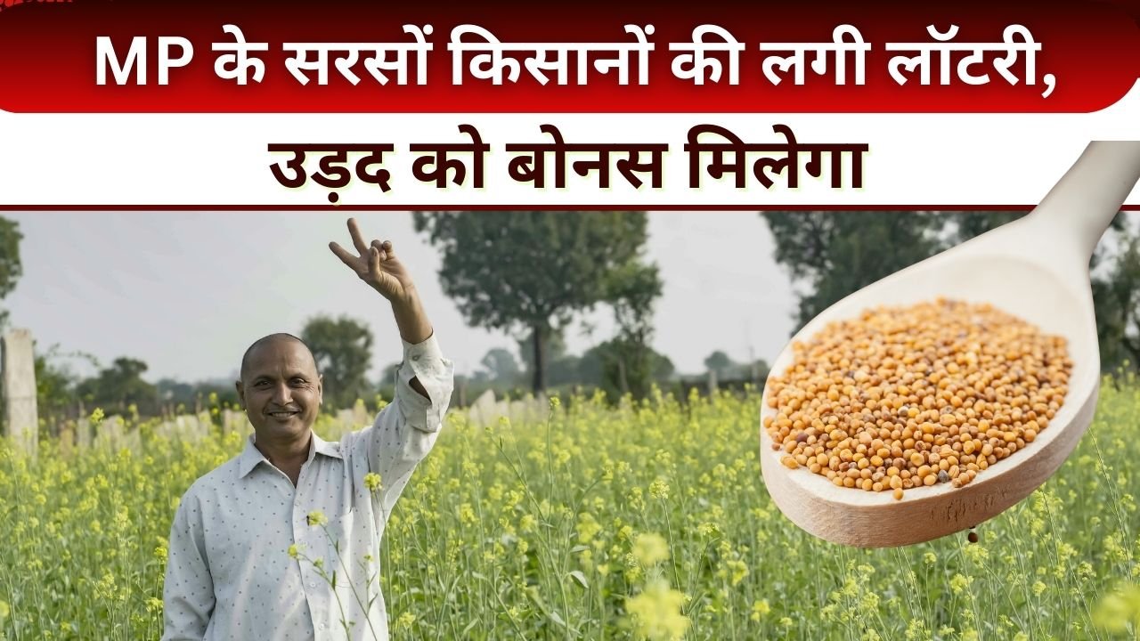 सरसों किसानों को मिलेगा भावांतर योजना का फायदा