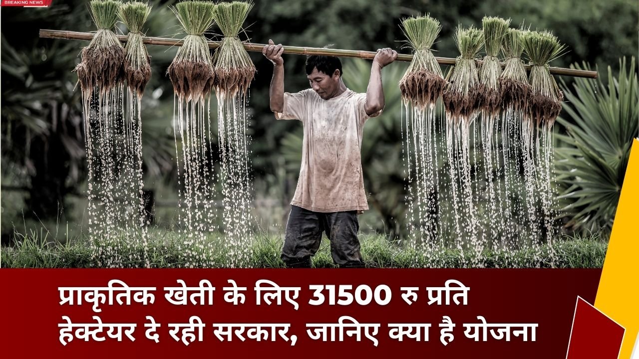 जैविक खेती के लिए सरकारी मदद