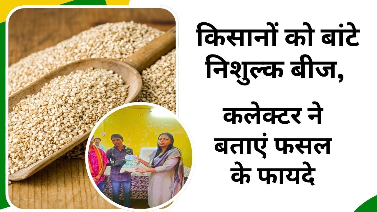 बड़वानी में किसानों को निशुल्क उन्नत बीज वितरित