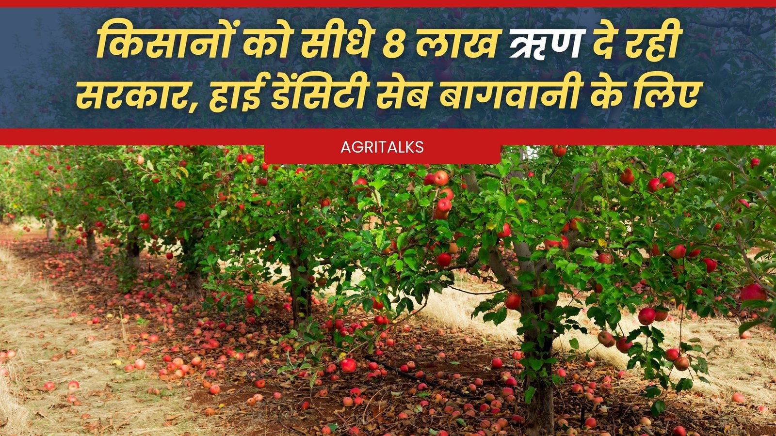 सेब की उच्च सघनता बागवानी से किसानों को फायदे