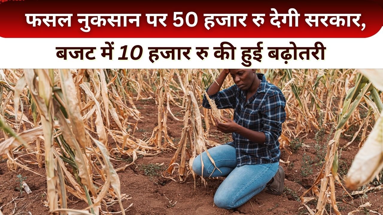 बागवानी फसलों के नुकसान पर मुआवजा