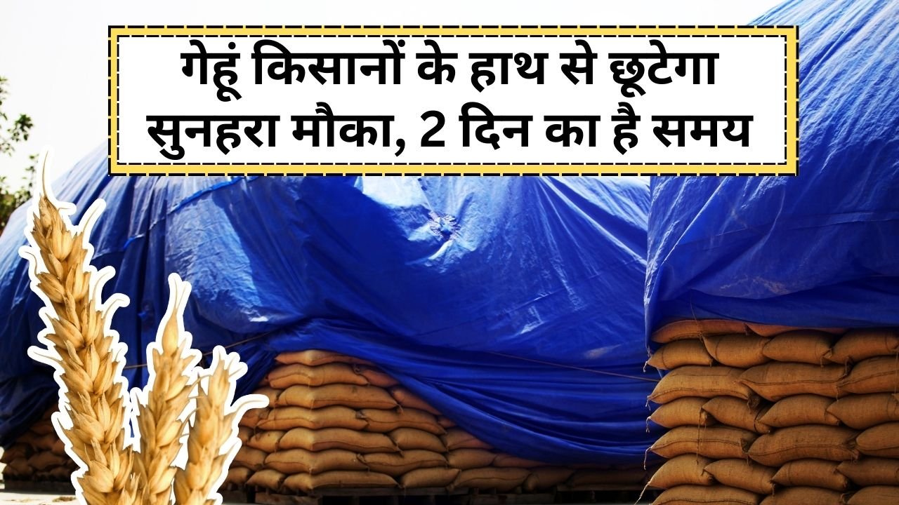 गेहूं किसानों के लिए पंजीयन की अंतिम तारीख