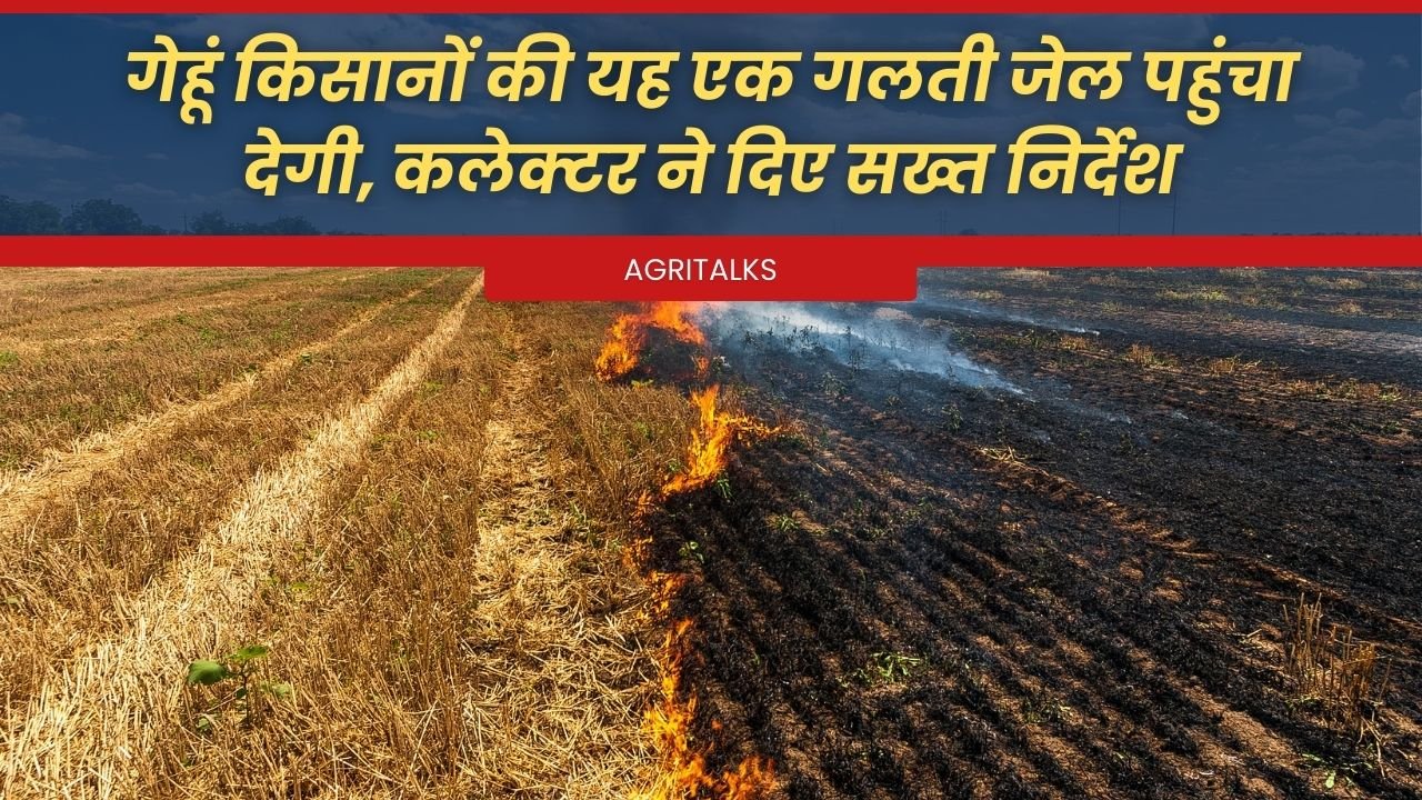 स्ट्रॉ मैनेजमेंट सिस्टम अनिवार्य