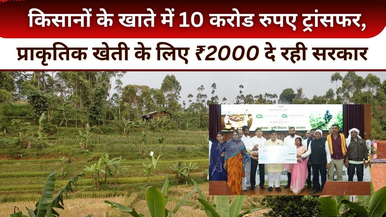 प्राकृतिक खेती के लिए अनुदान योजनाएं