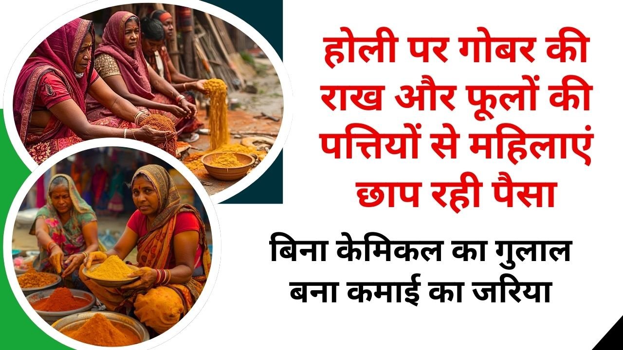 बिना केमिकल के गुलाल की डिमांड